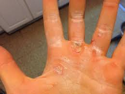 GymPaws The Top Rated Workout Gloves on Amazon