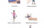 train for sprinting, gympaws fitness blog, gympaws reviews, stretches