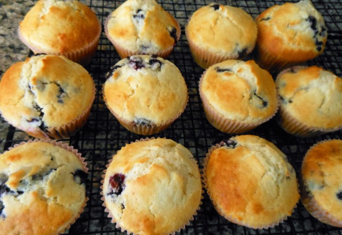 Blueberry Protein Muffins Recipe