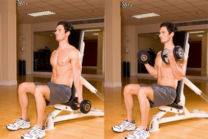 seated dumbbell two arm curl
