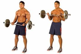 standing barbell curl