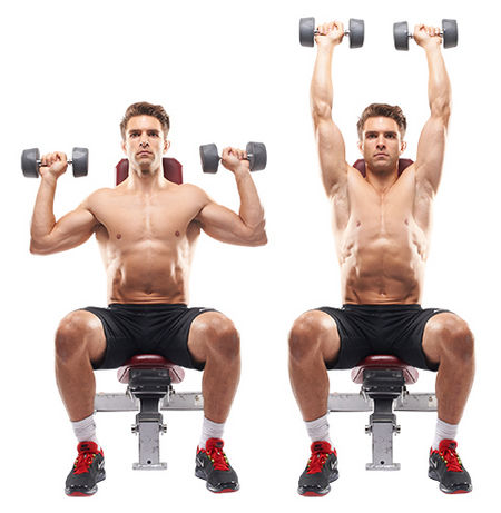 Seated Shoulder Press Workout