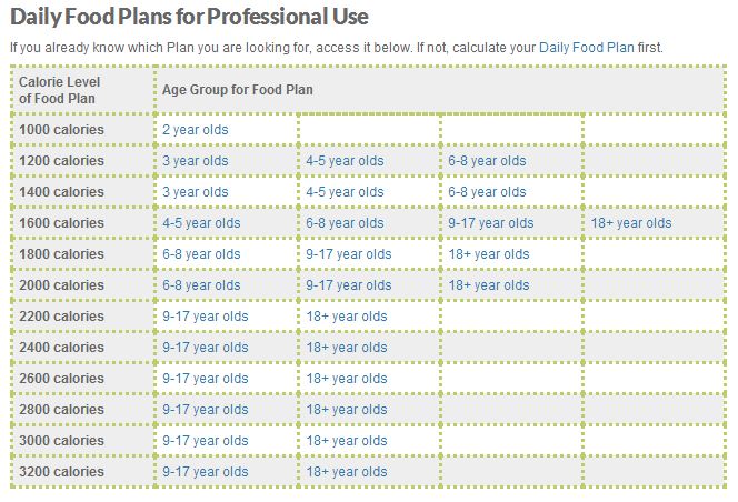 Daily food plans to build muscle