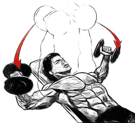 Best Chest Exercises - Incline Flys