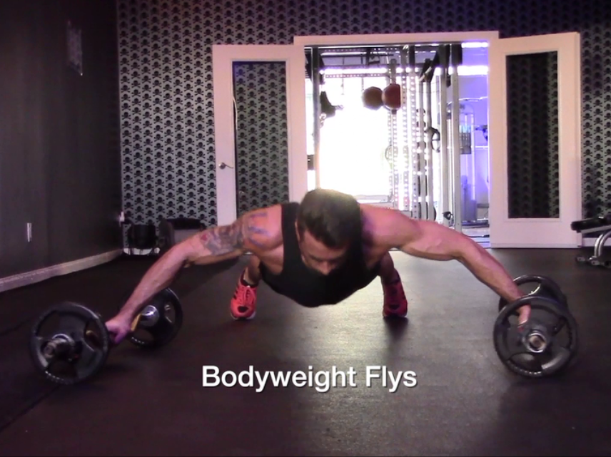Bodyweight Flyes  / Chest Rollout