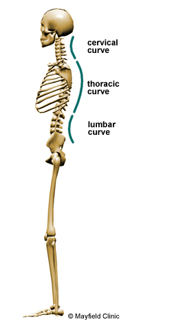 Stretches For Lower Back Pain