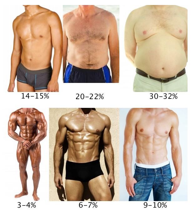 Body Fat Percentage and Weightlifting