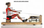 2017 Best Gym Gloves For Rowing
