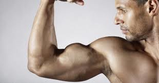build-big-biceps