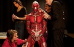 crossfit gloves, anatomy lesson 6