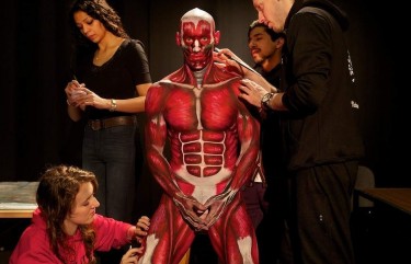 crossfit gloves, anatomy lesson 6