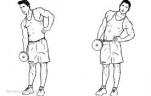 dumbbell side bends
