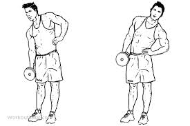 dumbbell side bends