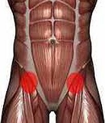 knees elbows crossfit gloves hip flexors