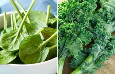 spinach versus kale, crossfit gloves, best workout gloves, gym paws