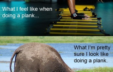 Proper Form For Ab Planks