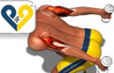 Triceps Kickback with Free Weight – Exercise Video Demo