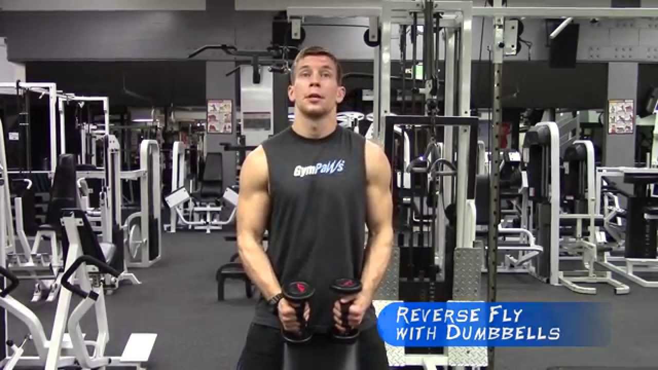 Reverse Flys With Dumbbells
